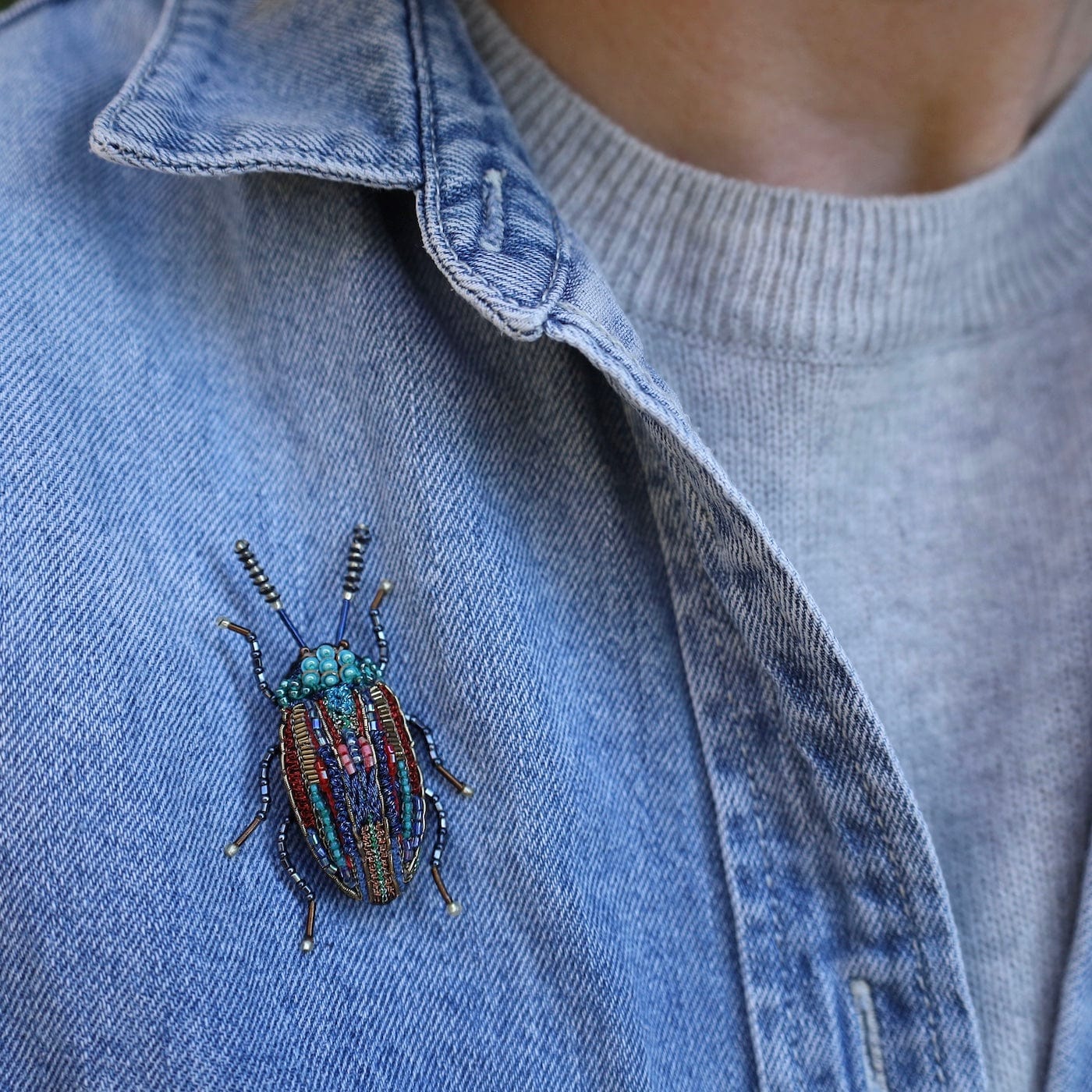 PIN Snowdon Beetle Brooch Pin