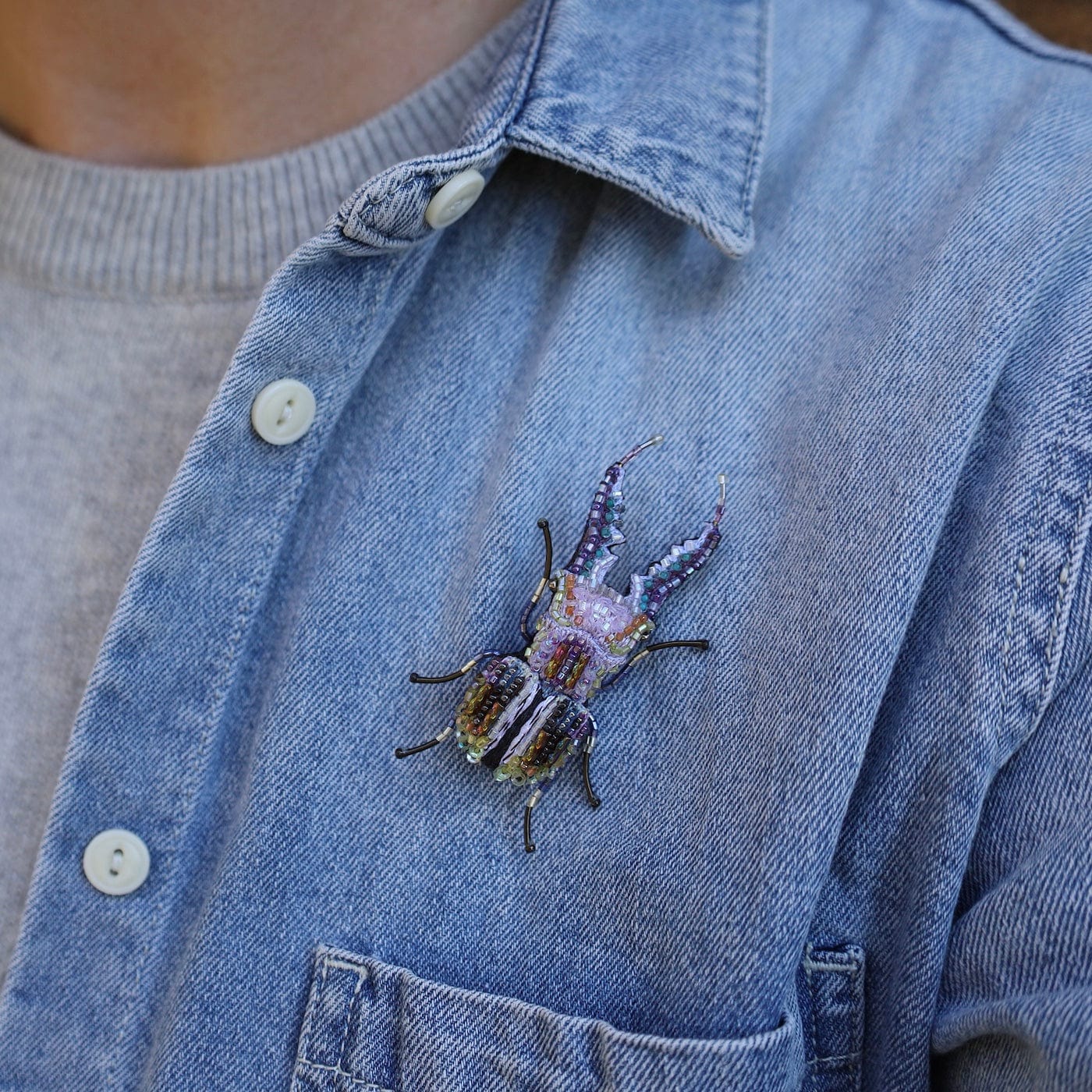 PIN Stag Pincer Beetle Brooch Pin