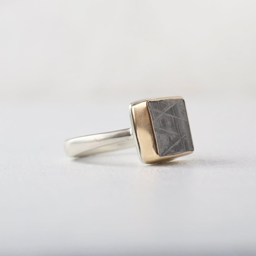 
                  
                    RNG-14K Jamie Joseph Ring with Small Rectangular Scrimshaw Meteorite
                  
                