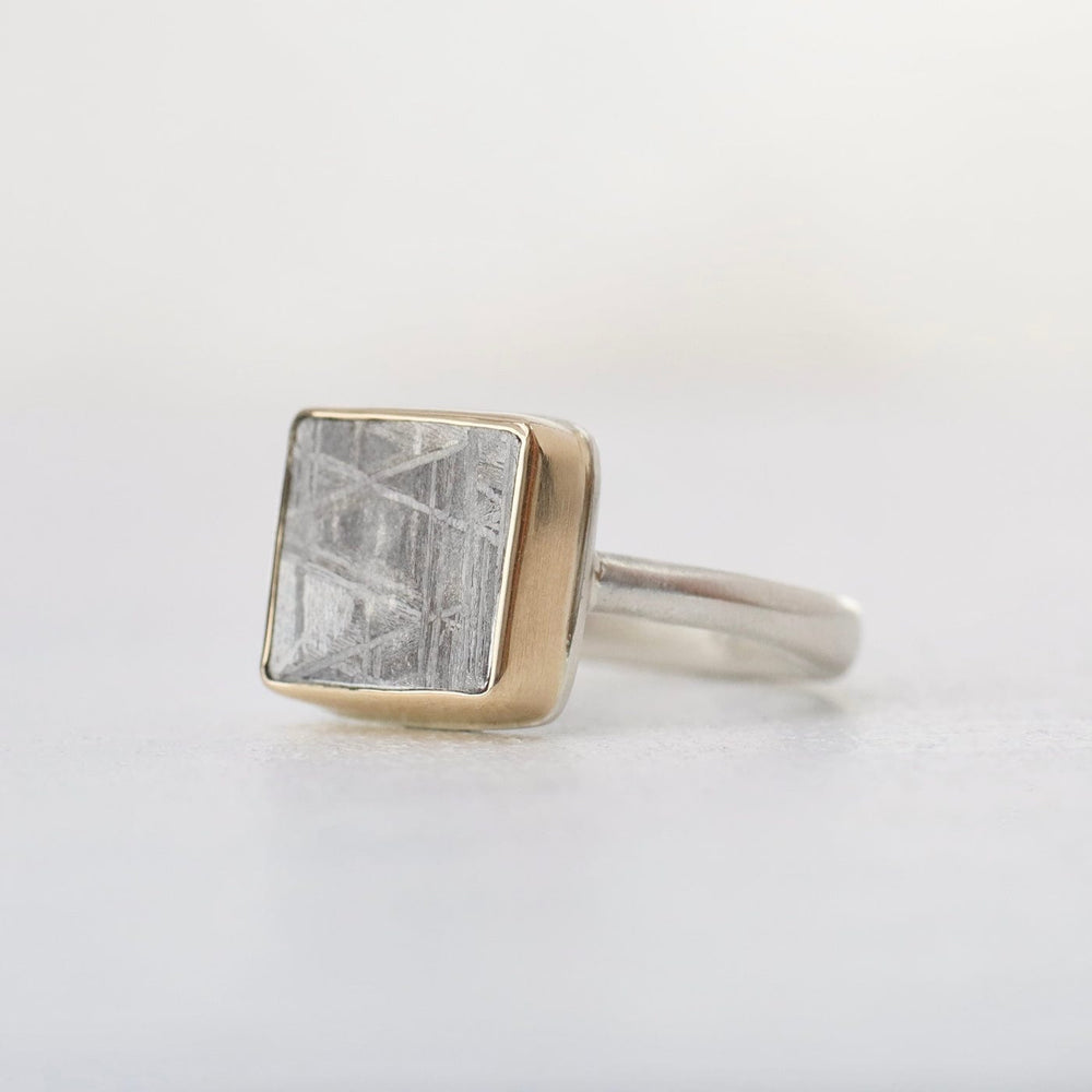 
                  
                    RNG-14K Jamie Joseph Ring with Small Rectangular Scrimshaw Meteorite
                  
                