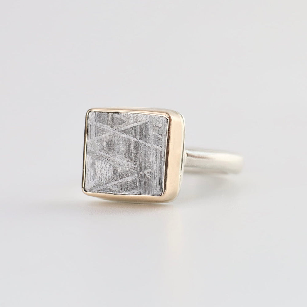 
                  
                    RNG-14K Jamie Joseph Ring with Small Rectangular Scrimshaw Meteorite
                  
                