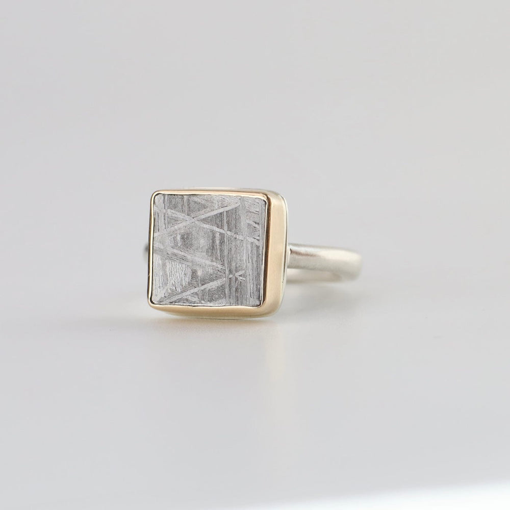 
                  
                    RNG-14K Jamie Joseph Ring with Small Rectangular Scrimshaw Meteorite
                  
                