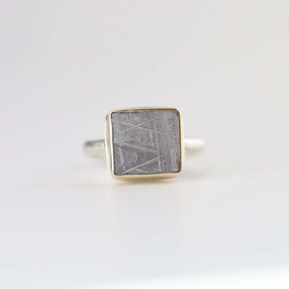 
                  
                    RNG-14K Jamie Joseph Ring with Small Rectangular Scrimshaw Meteorite
                  
                