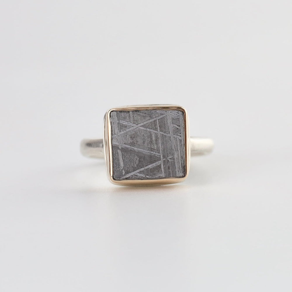 
                  
                    RNG-14K Jamie Joseph Ring with Small Rectangular Scrimshaw Meteorite
                  
                