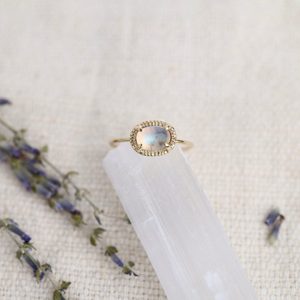 
                      
                        RNG-14K Swell Ring - Cabochon Moonstone
                      
                    