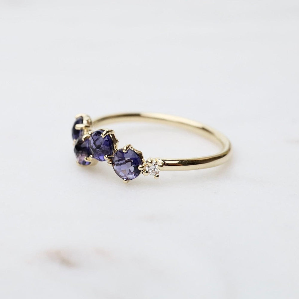 
                      
                        RNG-14K Yellow Gold 4mm Round Iolite Ring
                      
                    