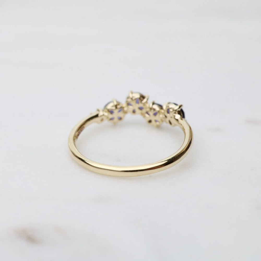 
                      
                        RNG-14K Yellow Gold 4mm Round Iolite Ring
                      
                    