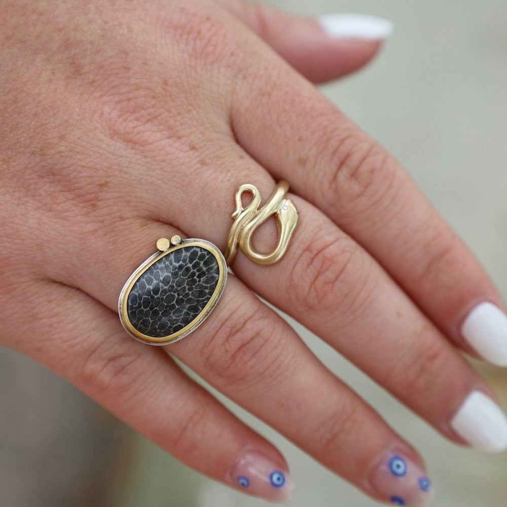 RNG-22K One of a Kind Brizoan Coral Fossil Ring