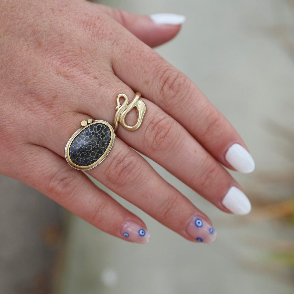 
                  
                    RNG-22K One of a Kind Brizoan Coral Fossil Ring
                  
                