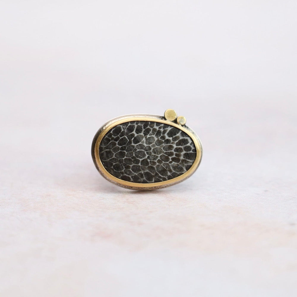 
                  
                    RNG-22K One of a Kind Brizoan Coral Fossil Ring
                  
                