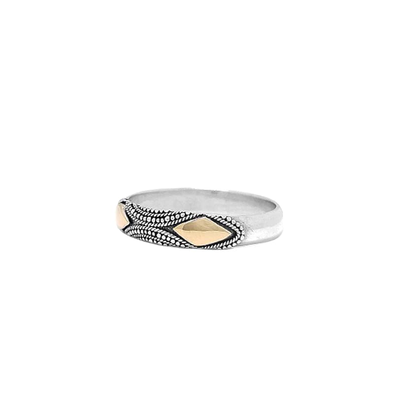 
                  
                    RNG-22K Sterling Silver Ring with Two 22k Gold Diamonds
                  
                