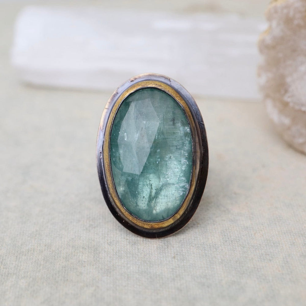 
                  
                    RNG Extra Large Crescent Rim Ring in Sky Blue Kyanite
                  
                