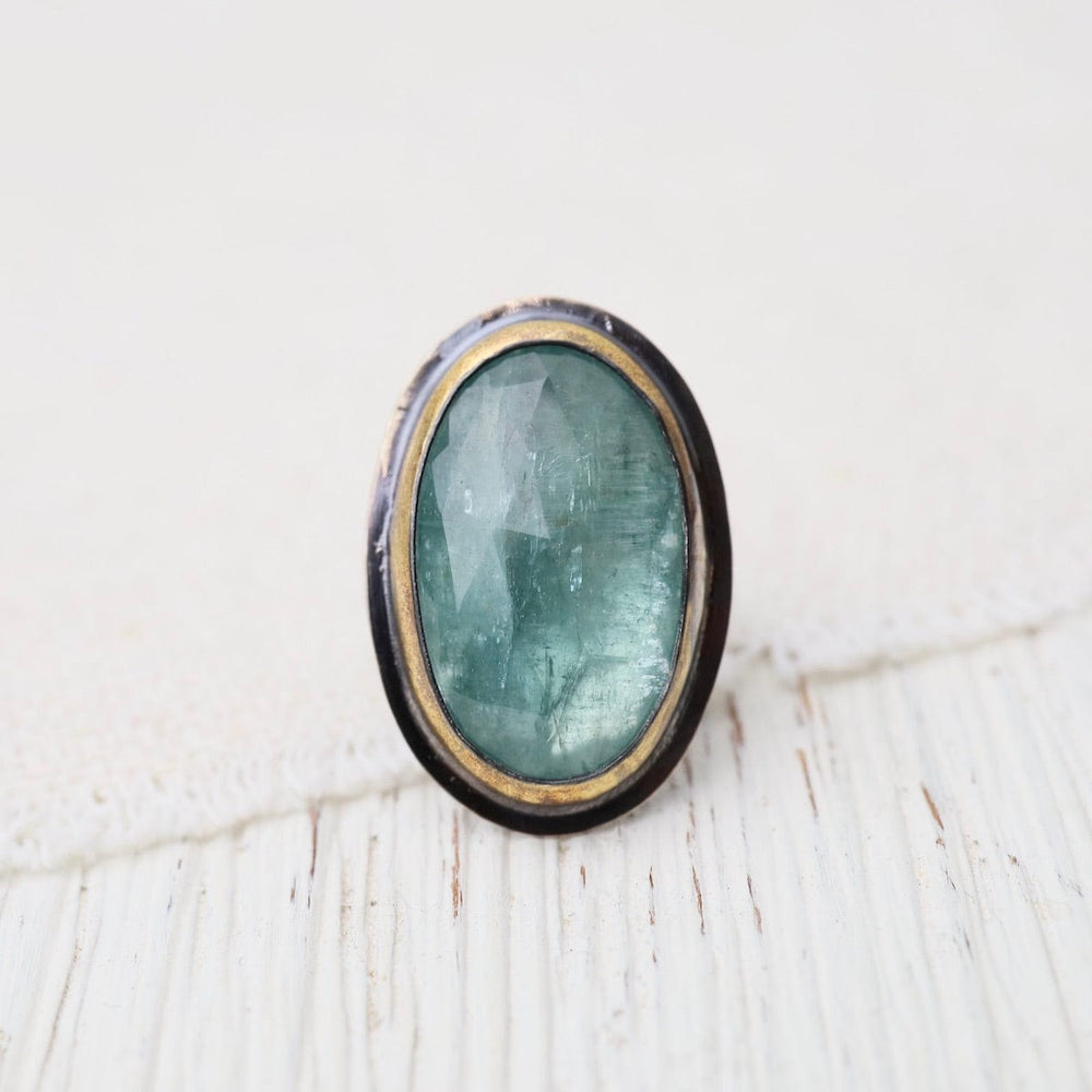 
                  
                    RNG Extra Large Crescent Rim Ring in Sky Blue Kyanite
                  
                