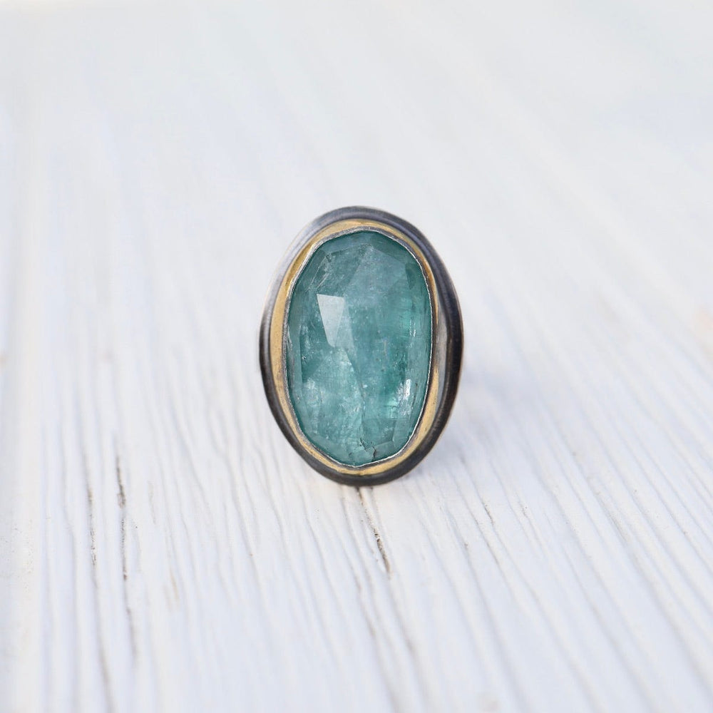 
                      
                        RNG Extra Large Crescent Rim Ring - Sky Blue Kyanite
                      
                    