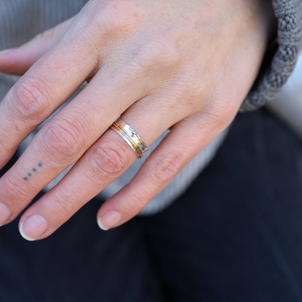 
                  
                    RNG-GF Hammered Sterling Silver Ring with Gold Filled Spinning Bands
                  
                