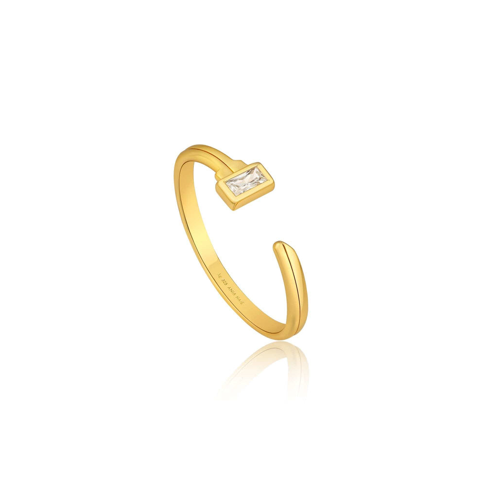 
                      
                        RNG-GPL Gold Key Adjustable Ring
                      
                    