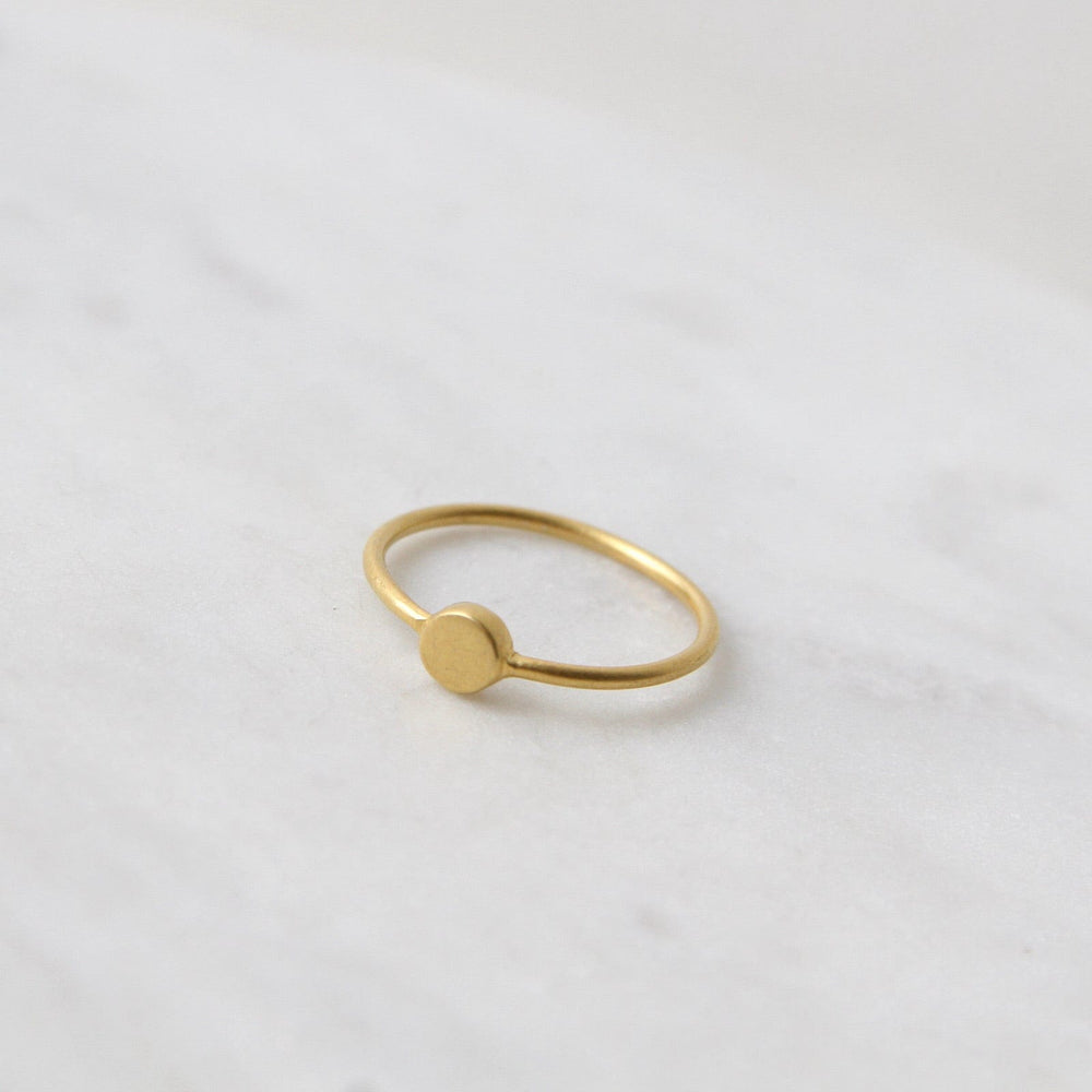 
                      
                        RNG-GPL Gold Plated Brass Little Disc Ring
                      
                    