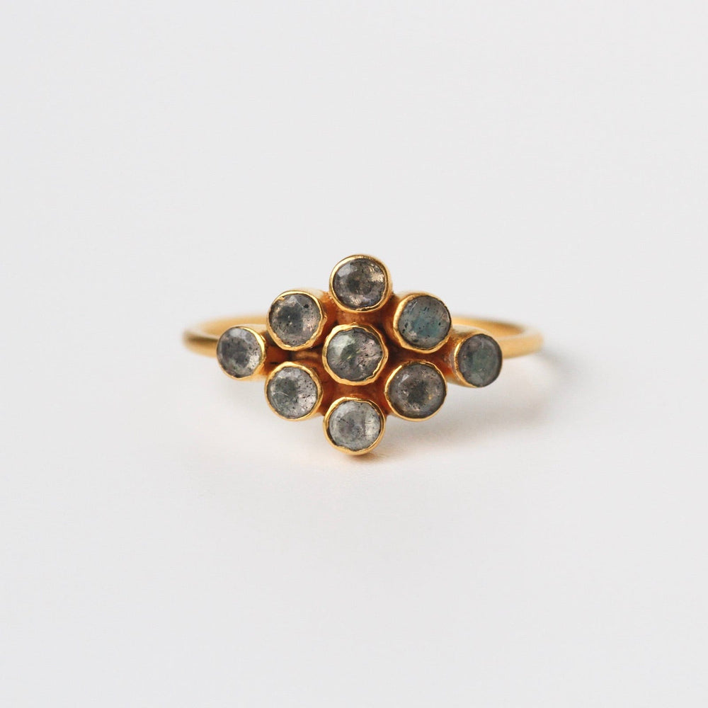 
                      
                        RNG-GPL Labradorite Diamond Shape Ring
                      
                    