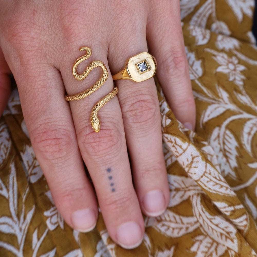 
                  
                    RNG-GPL NAJA // The Serpent ring - 18k gold plated stainle
                  
                