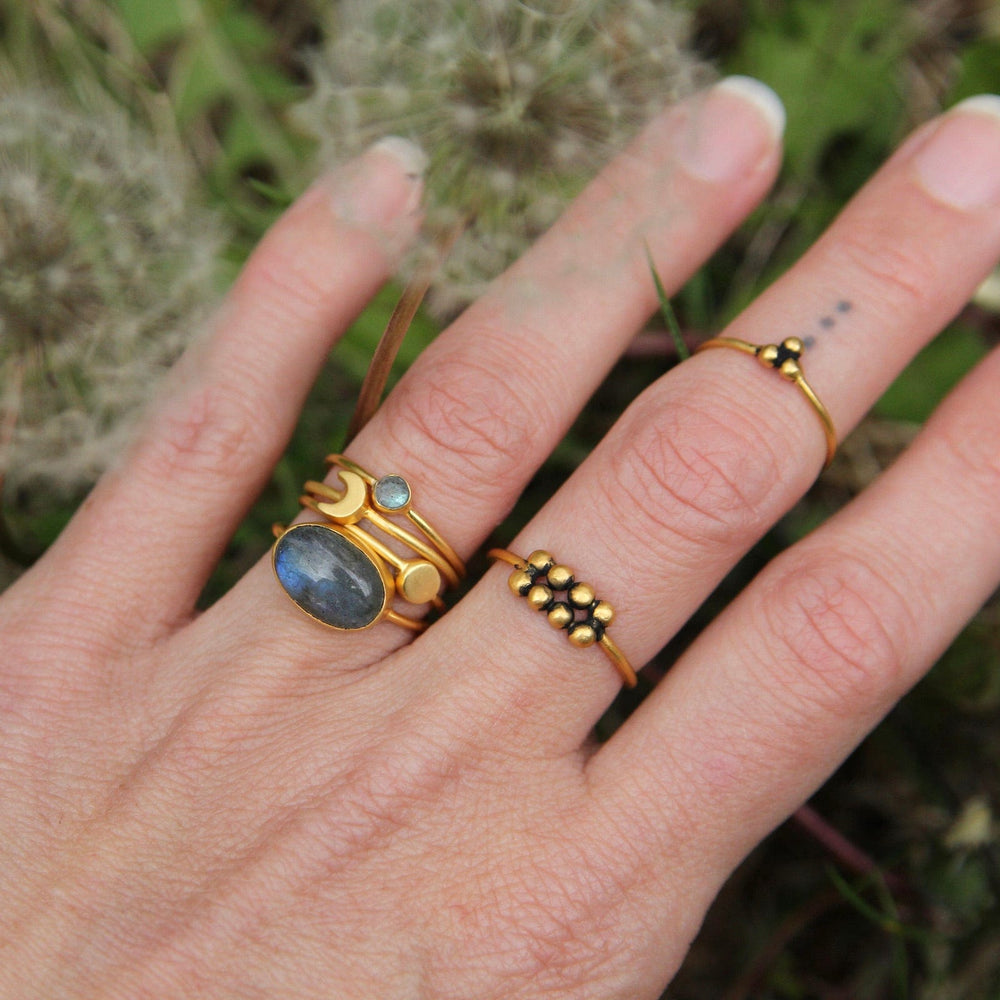 
                  
                    RNG-GPL Tiny Faceted Single Labradorite in Gold Plated Brass Ring
                  
                