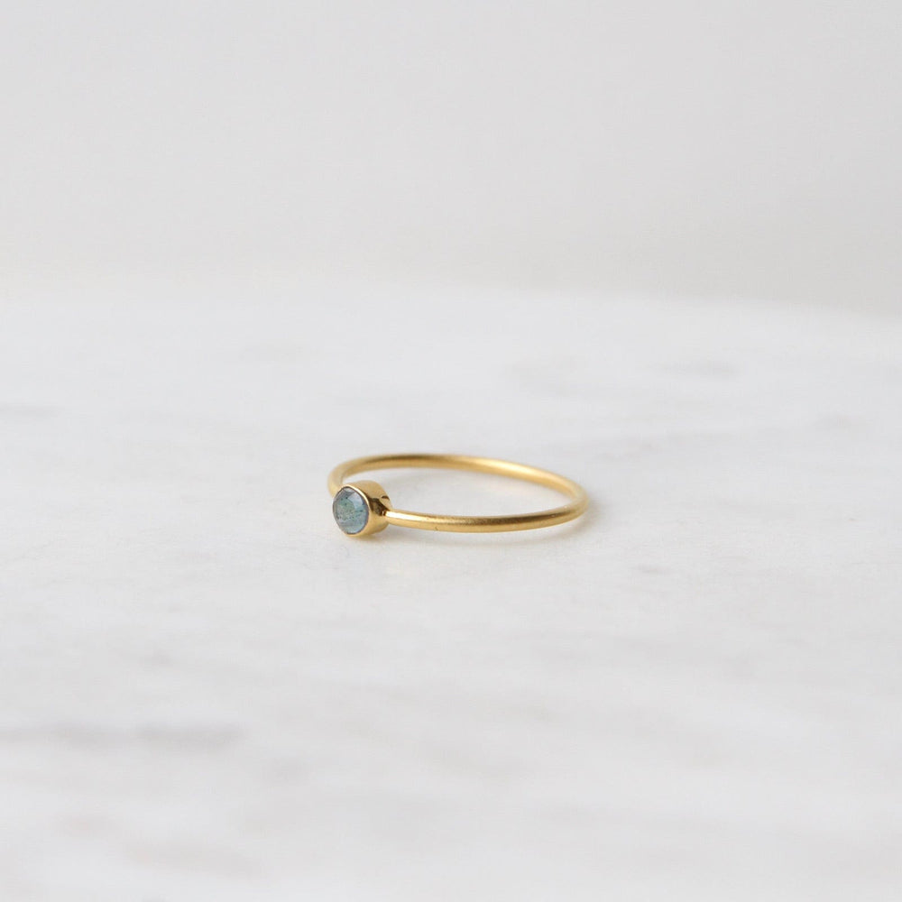 
                  
                    RNG-GPL Tiny Faceted Single Labradorite in Gold Plated Brass Ring
                  
                