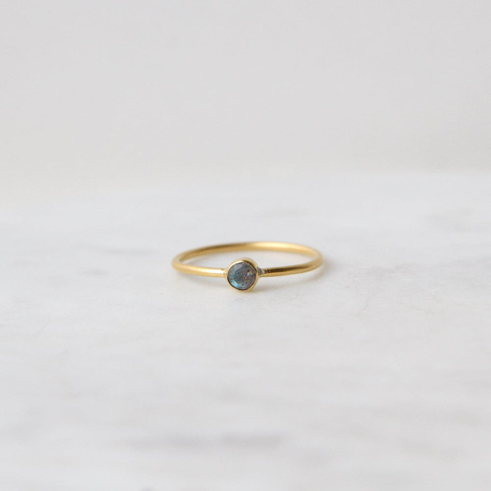 
                  
                    RNG-GPL Tiny Faceted Single Labradorite in Gold Plated Brass Ring
                  
                