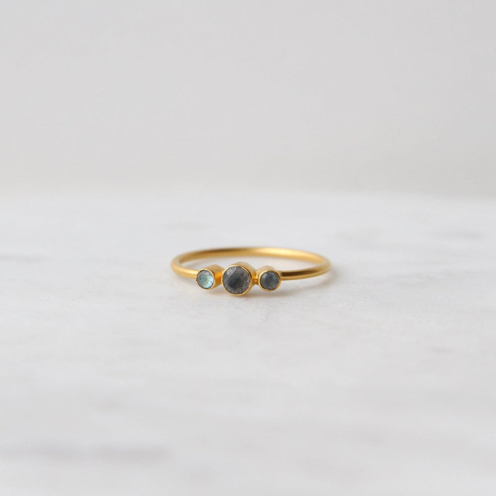 
                      
                        RNG-GPL Tiny Graduated Three Labradorite in Gold Plated Brass Ring
                      
                    