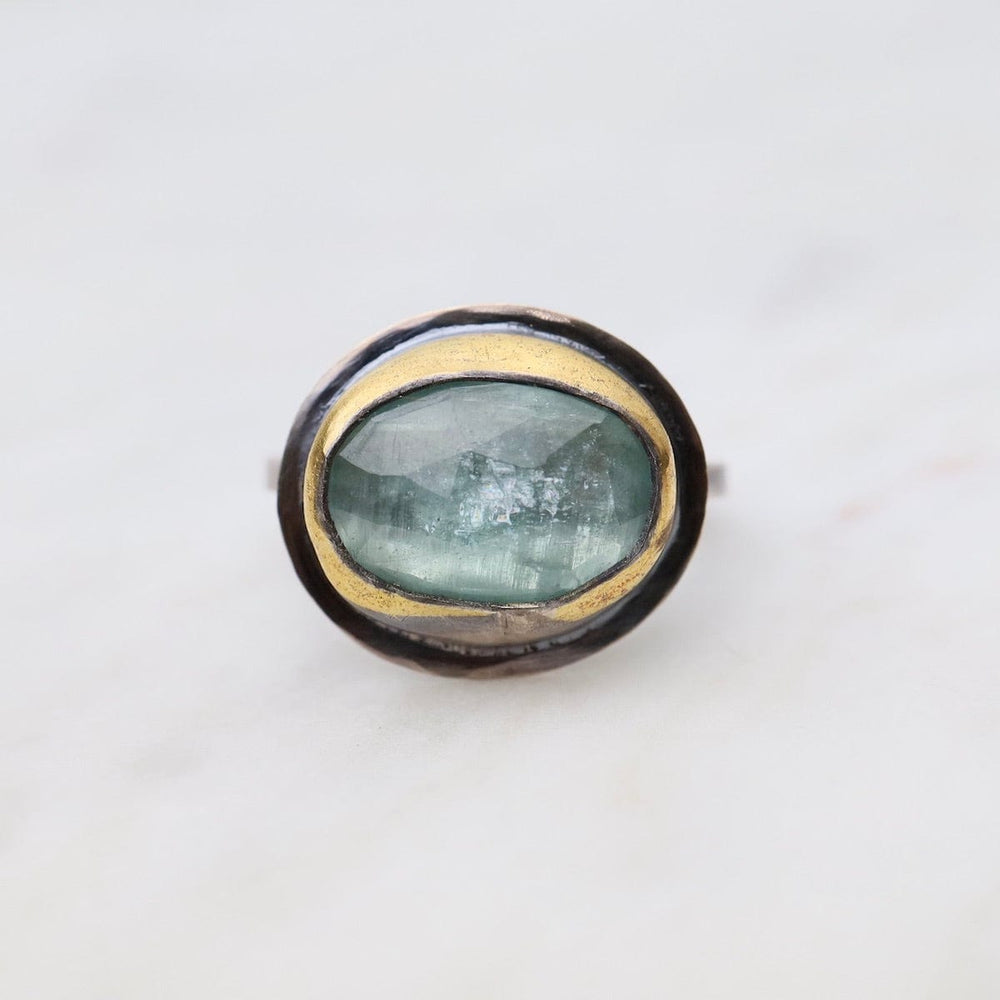 
                      
                        RNG Medium Crescent Rim Ring in Sky Blue Kyanite
                      
                    