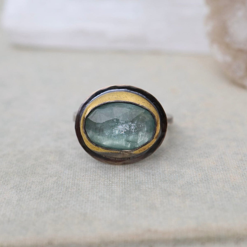 
                      
                        RNG Medium Crescent Rim Ring in Sky Blue Kyanite
                      
                    