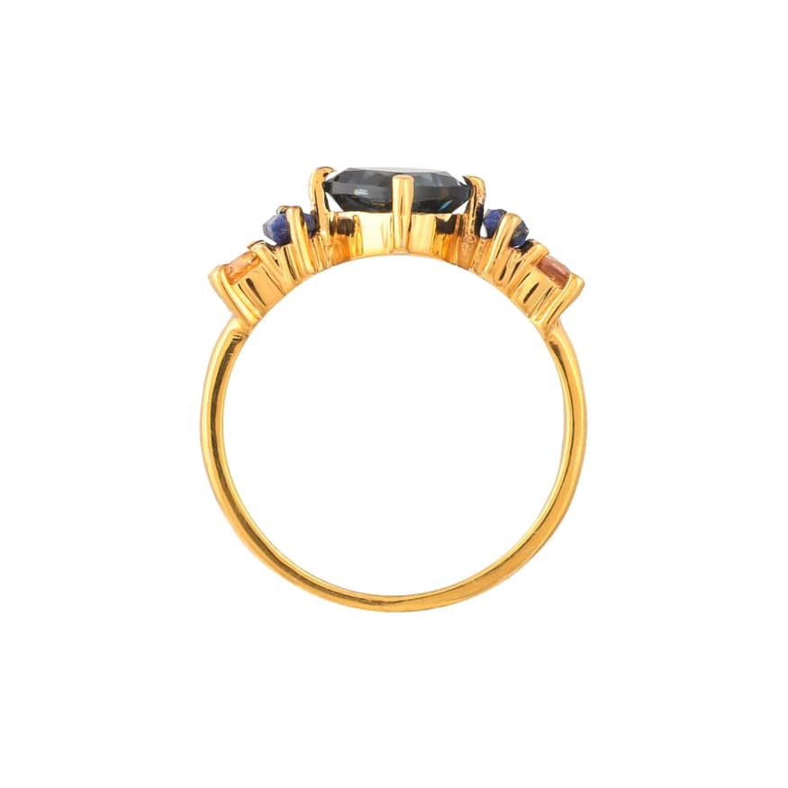 
                  
                    RNG-VRM Sapphire Mix Vermeil Ring
                  
                